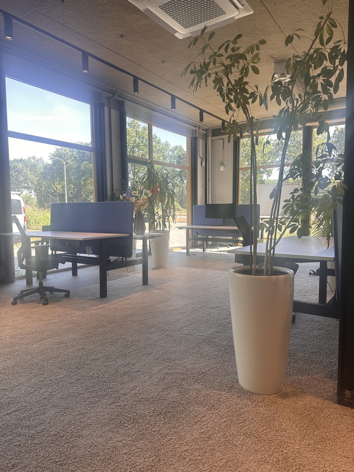 De coworkingruimte op de begane grond — zit-sta bureaus aan grote ramen