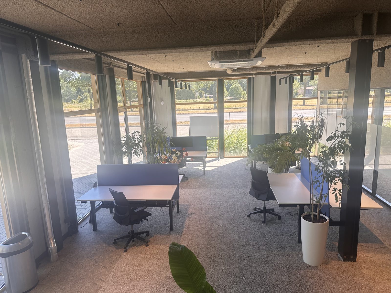 Overzicht van de coworkingruimte met werkplekken en planten